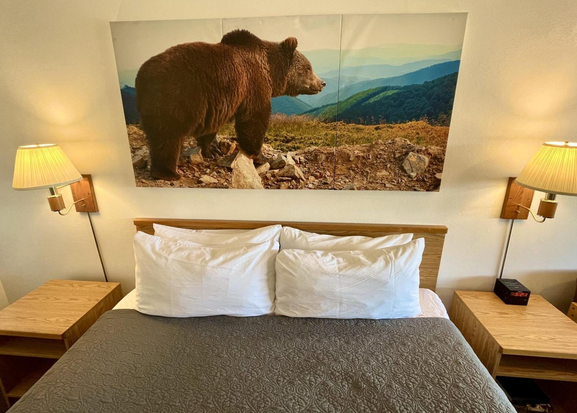 Red Bear Inn Енніс Екстер'єр фото
